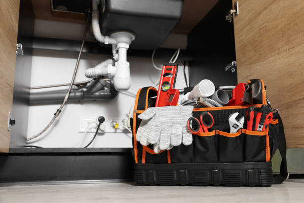 Best Plumbing Services Near Me  in Waterloo, NE